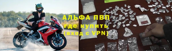 ГАЛЛЮЦИНОГЕННЫЕ ГРИБЫ Кодинск