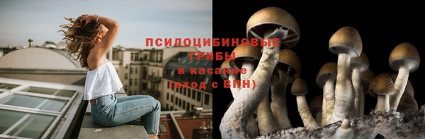 ГАЛЛЮЦИНОГЕННЫЕ ГРИБЫ Кодинск