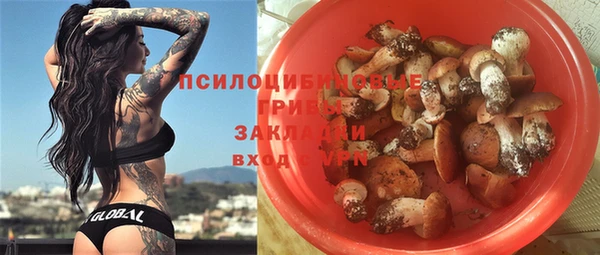 мдпв Коряжма