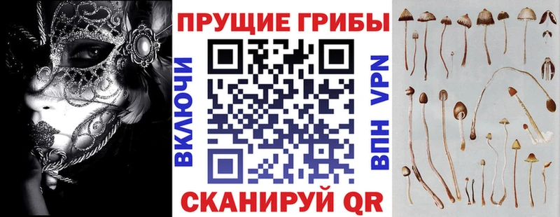 Псилоцибиновые грибы Cubensis Нязепетровск